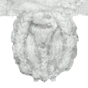 Geo barba 4