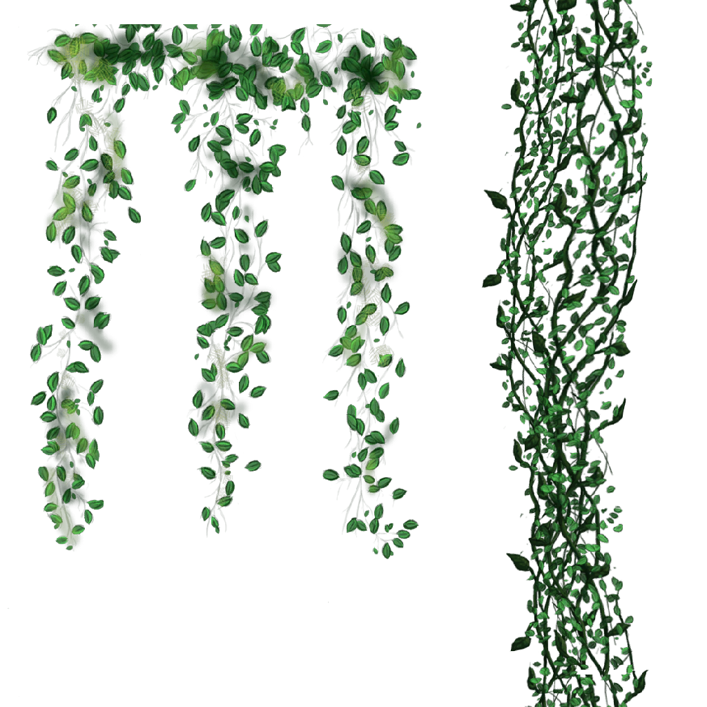 Syrtis enredaderas 1