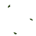 Syrtis hojas