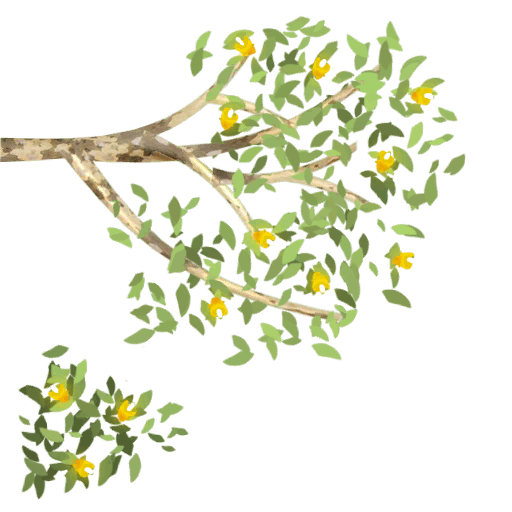 arbol elfico hojas