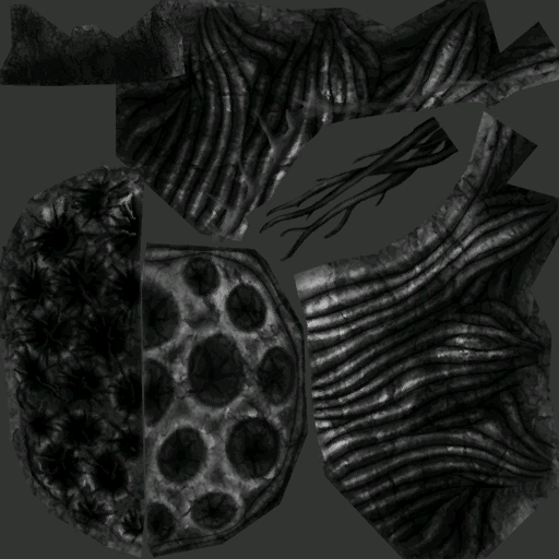 Syrtis nido de avispas sp