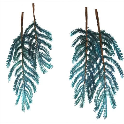 Alsius pine blue