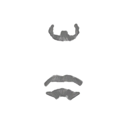 Human beard 1