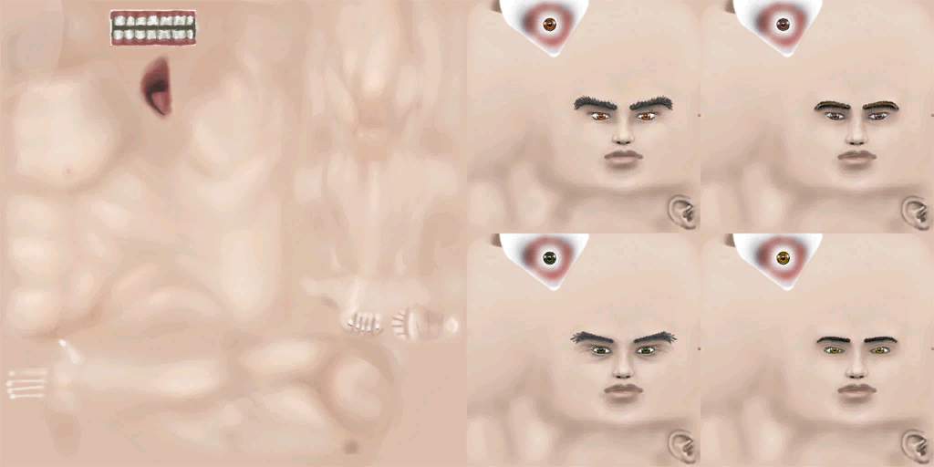 Human male skin atlas