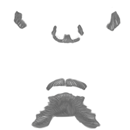 Beard 2