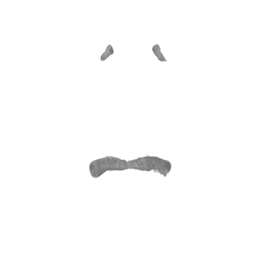 Beard 3