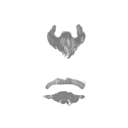 Human beard 5