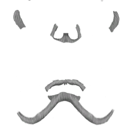 Half elf beard 4