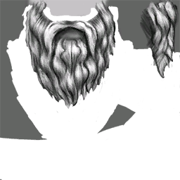 Dwarf beard 2