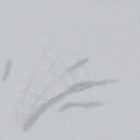 Utghar cuerno oscuro