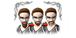Premium change beard