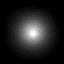 Particula gris