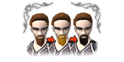 Premium dye beard