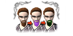 Premium dye beard exotic
