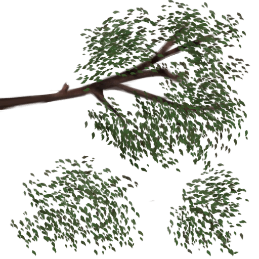 Arbol pantano hojas