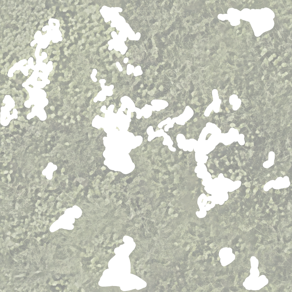 Pantano agua