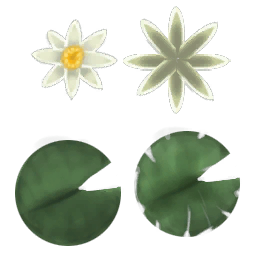 Pantano flor 1