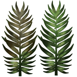 Palmera hojas