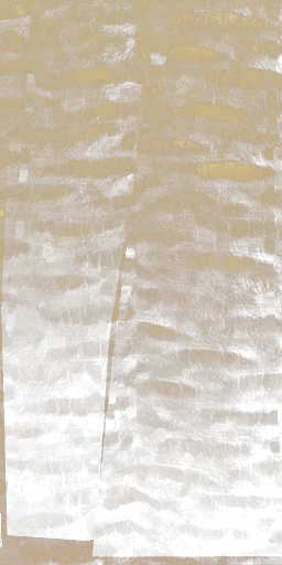 Palmera tronco