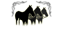 Premium mount generic bundle