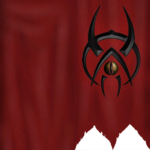 Bandera larga ignis2