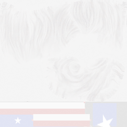 4th july peluca female