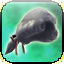 Icon item 4th july peluca