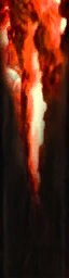 Tronco quemado
