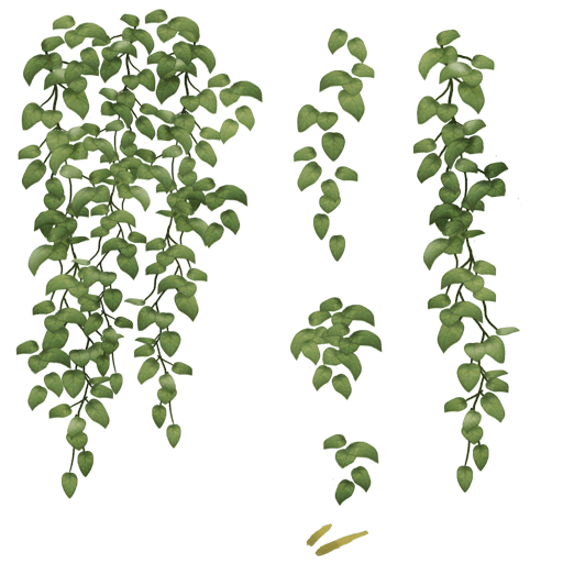 Syrtis castle leaves