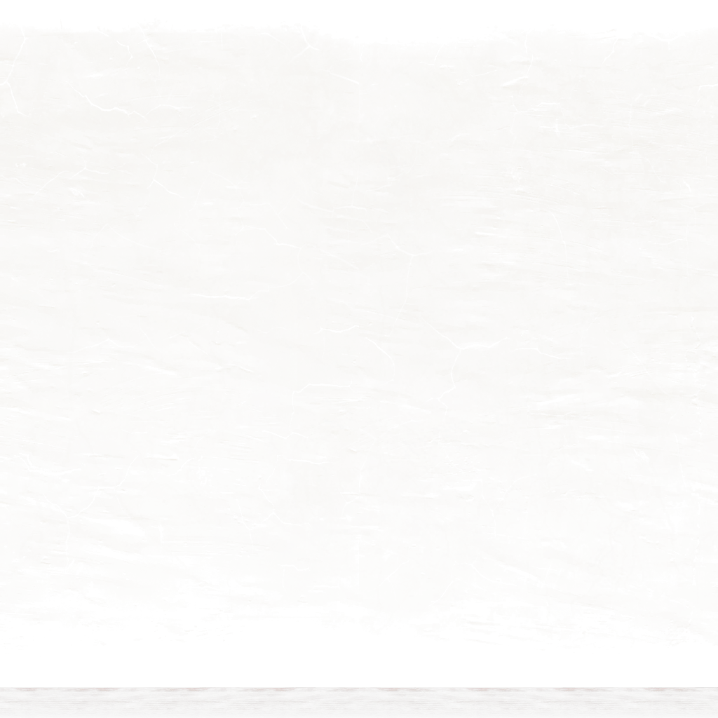 Casanuevasyrtisparedinterior