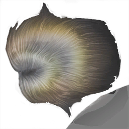 Human hair test