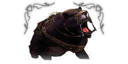 Premium headers bear black