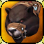 Icon premium mount bear black