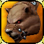 Icon premium mount bear brown