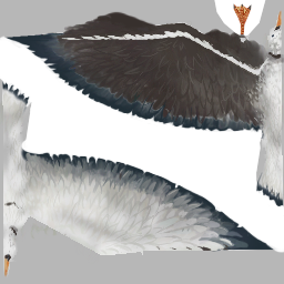 Gaviota texture