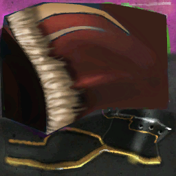 Tunic champion conjurer hood