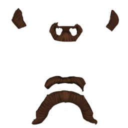 Human beard face test