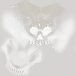 relic ignis skull 2