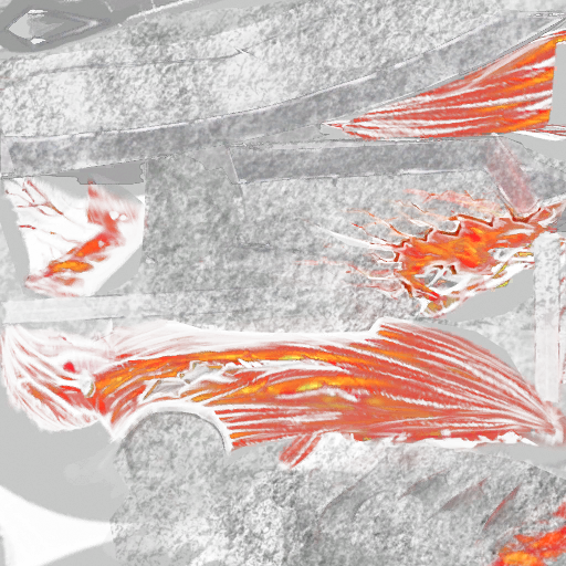 Dragon weapon sword ignis