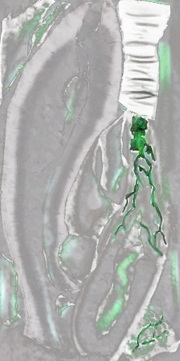 Dragon weapon sword 2h syrtis