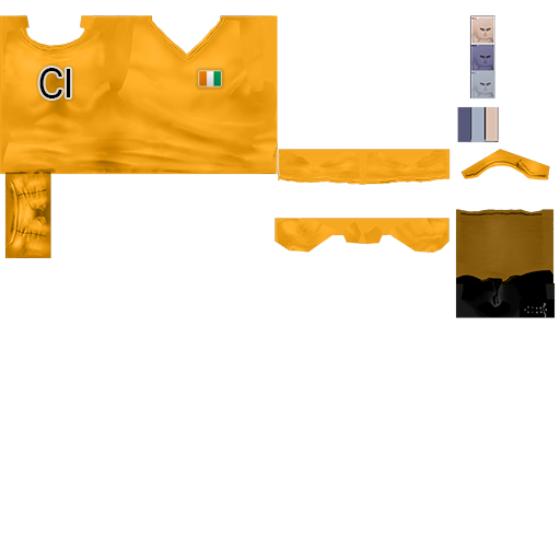 Pc cloth soccer mage cotedivoire 2014
