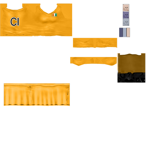Pc cloth soccer mage f cotedivoire 2014