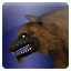 Icon companion fenvetir