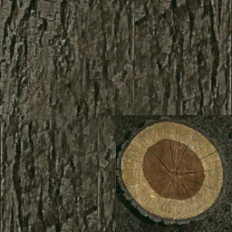 Wood logs hickory
