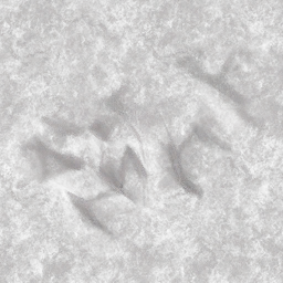 Rock carbon