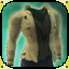 Icon item killer rags