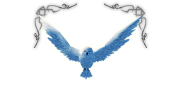 Premium headers messenger owl