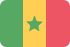 Flag senegal
