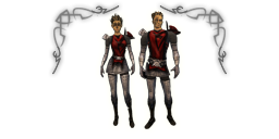 Premium headers premium guard ignis chainmail