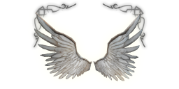 Premium headers clothing wings angel a